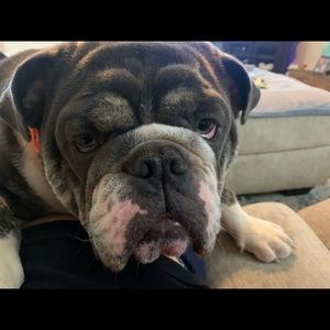 Meet your Posher, Jacob